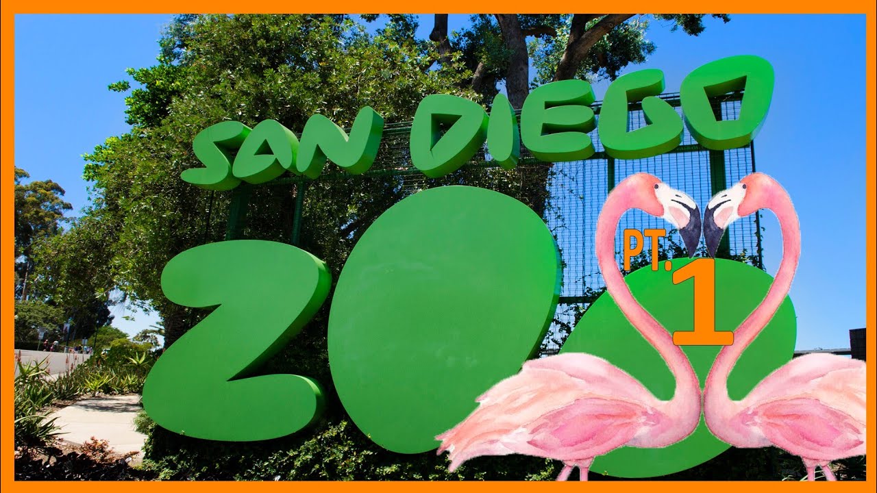 Valentine's Day at the San Diego Zoo (Part 1) YouTube