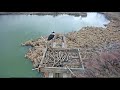 Boulder County Osprey Cam, March 26, 2021 (2)