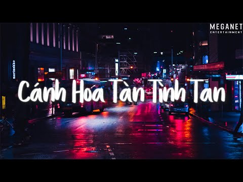 Cánh hoa tàn tình tan và em bay theo gió ngàn - Lỡ Yêu Người Đậm Sâu | Nhạc Lofi TikTok Hay 2022