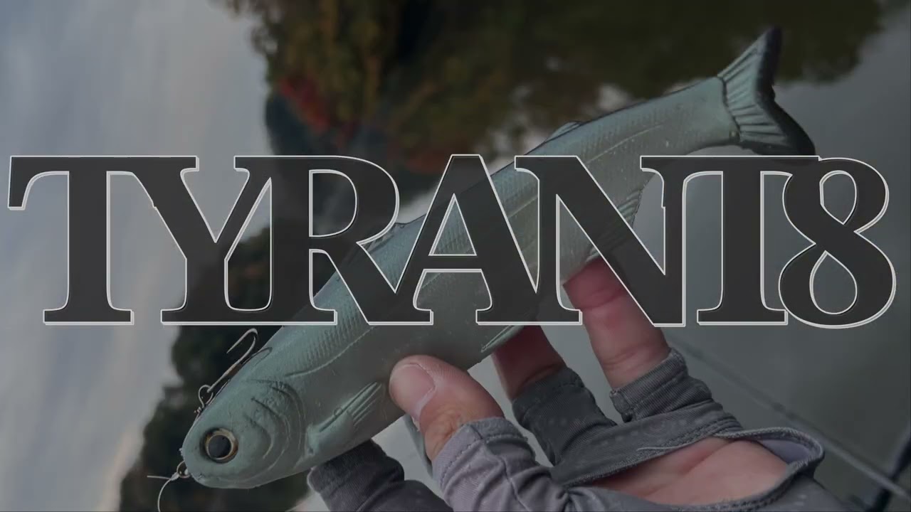 亀山ダムのニジマスパターン 