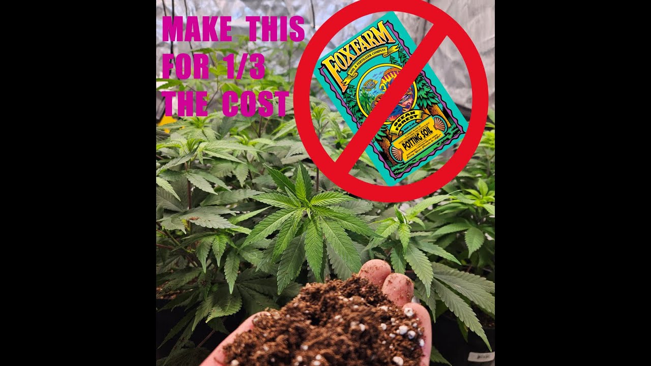 HOW TO MAKE A QUALITY, LOW COST ORGANIC POTTING SOIL FOR CANNABIS - BEGINNER FRIENDLY