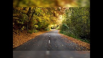 سورة ص ياسر سلامة 👍