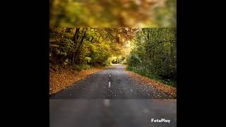 سورة ص ياسر سلامة 👍