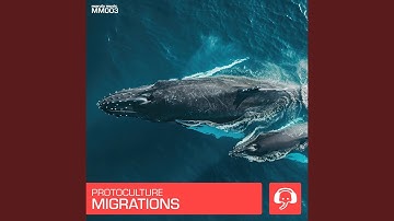 Migrations (Original Mix)