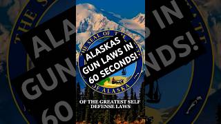 Download Lagu Alaska's Gun Laws in 60 Seconds! MP3