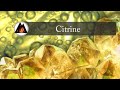 💎Citrine: &quot;The Merchant&#39;s Stone&quot; | Metaphysical, History &amp; More!