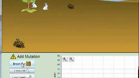 natural selection video for lab