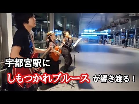 しもつかれブルース＠宇都宮駅　ツルタハル