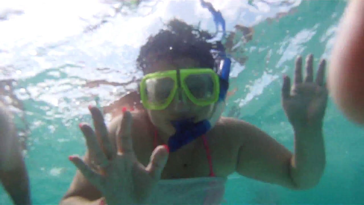 Snorkeling Destin, FL jetties YouTube