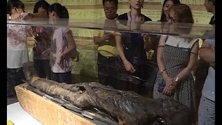 3,000-yr-old mummy of Ramesses II's son on display in E China screenshot 2