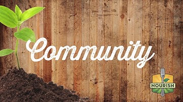 2016 Nourish Program Video