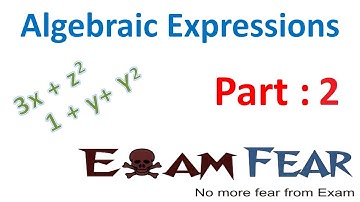 Maths Algebraic Expressions part 2 (Terms of Algebraic Expressions) CBSE Class 8 Mathematics VIII