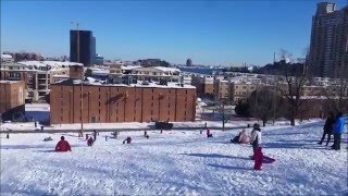Sledding on Fed Hill