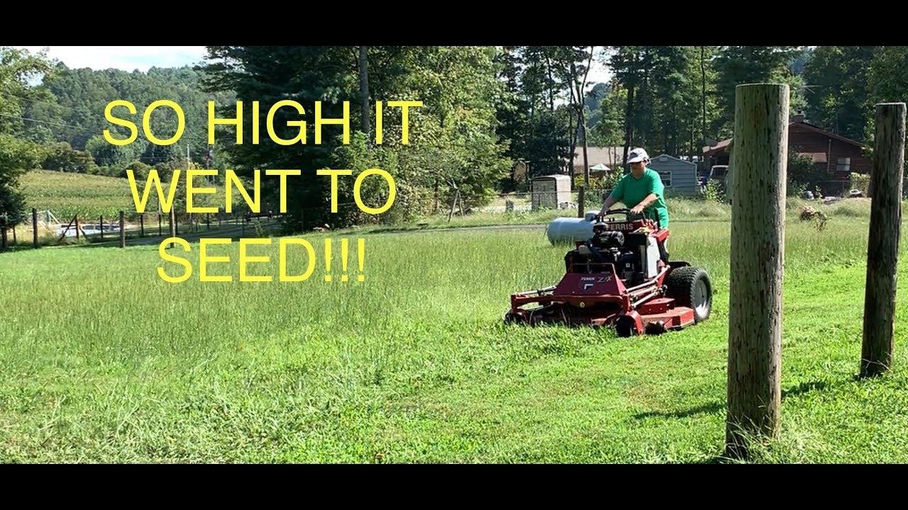 Only mowed three lawns but one was painful for the employee! - YouTube