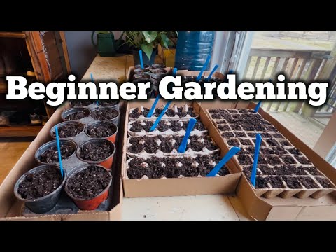 Beginner Gardening; Seed Starting, Winter Sowing, Money Saving Hacks, Environmentally Conscious Tips