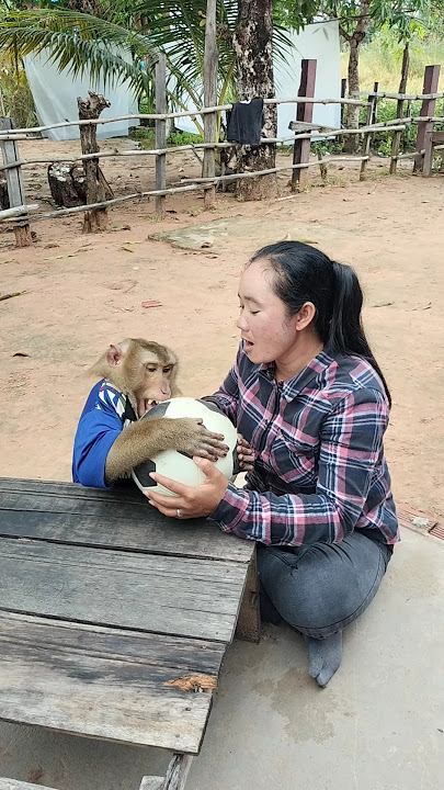 Best SokYaa,OG, ToTo Animals Are So Awesome #shorts