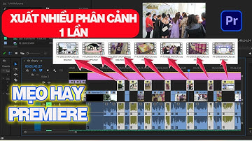 cách xuất nhiều đoạn video trên timeline cùng lúc | xuất nhiều phân cảnh cùng lúc trên premiere