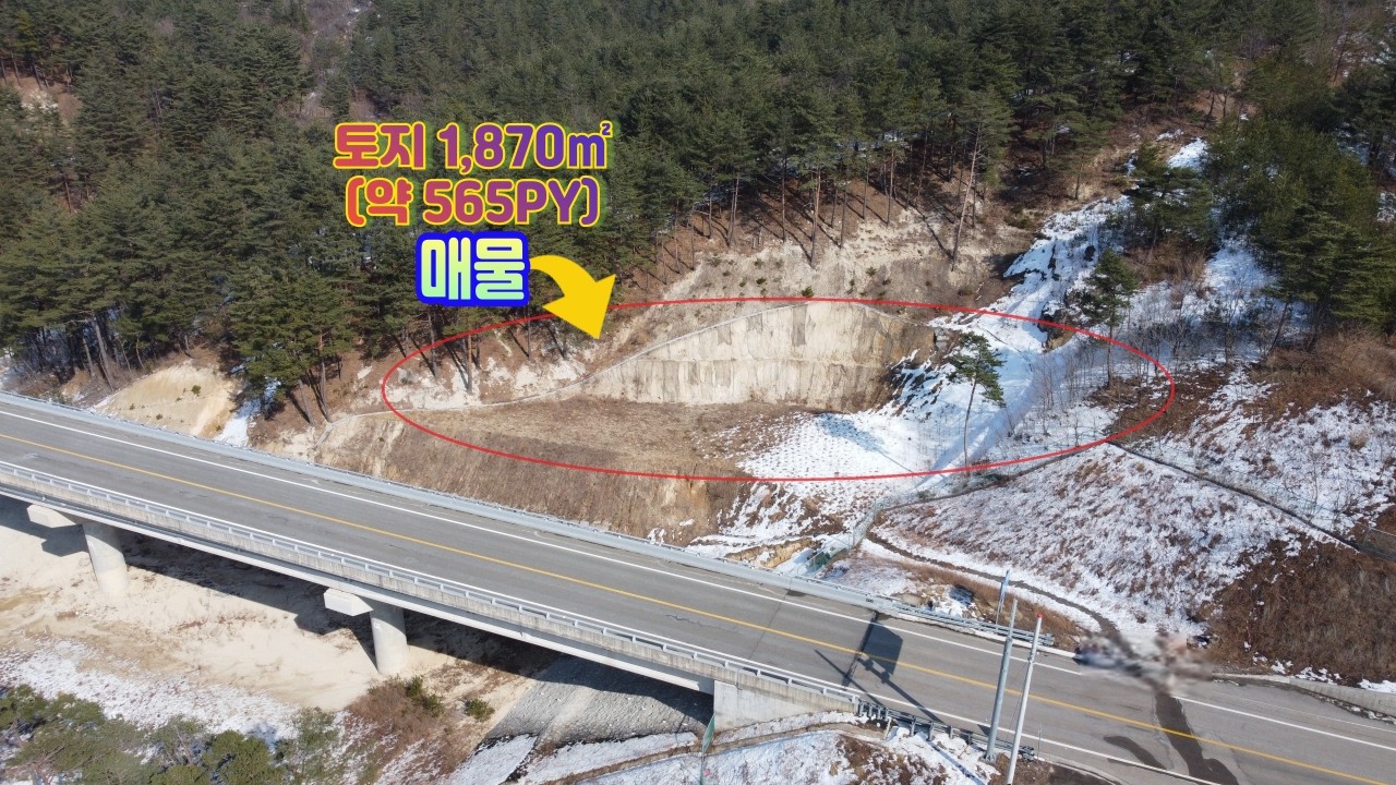 강릉부동산 강릉공인중개사 강릉토지매매 청정지역 석교리 저렴한 토지 매매(1,870㎡/약 565PY/ 3.3㎡당 약 5만원대)