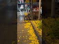 浜田省吾 ハッピーバースデーソング