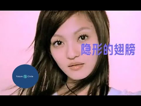 [중국노래] 한글가사/ 해석 /자막/병음 장운함(张韵涵)의 은형적시방(隐形的翅膀)