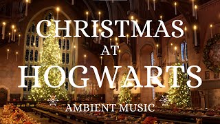 Harry Potter Ambient Christmas Music | Hogwarts | Relaxing, Studying, Sleeping