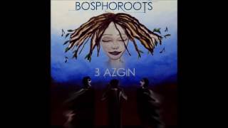 Bosphoroots - Babil Çökecek Resimi