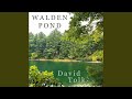 Walden Pond