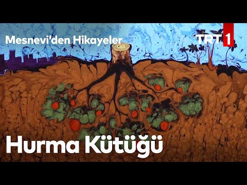 Hurma Kütüğü | Mesnevi'den Hikayeler 11. Bölüm