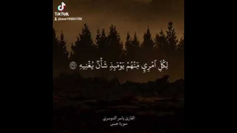 تلاوة الشيخ ياسر الدوسري|سورة عبس