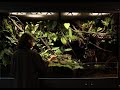 Create My Own Nature Vivarium At Home | 집안에 나만의 자연 비바리움 만들기