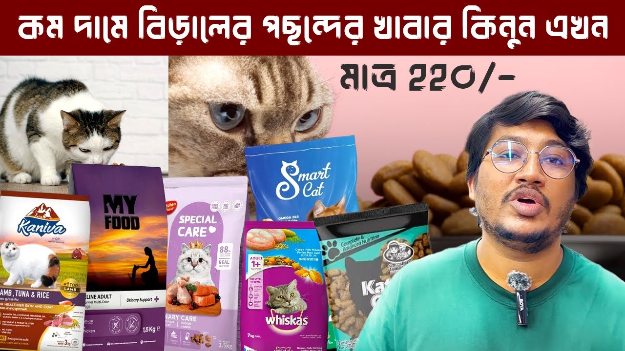 পাইকারি দামে দেশী -বিদেশী বিড়াল ও বিড়াল ছানার খাবার | Healthy Cat Kitten Food In BD