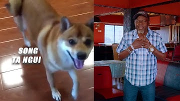 TA NGUI BY KAMANDE WA KIOI OFFICIAL VIDEO @jsteps studios