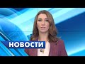 Главные новости Петербурга / 24 ноября