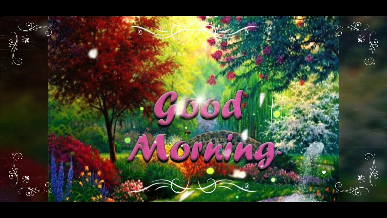 Good morning wishes,what's up status or wishes - YouTube