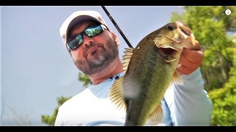 Tips for Winning Bass Tournaments with Greg Hackney -Quick Clip-Sportsman TV
