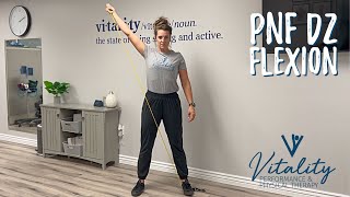 PNF D2 Flexion