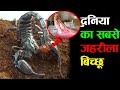 8 मिनट का ये वीडियो देखलो वरना पछताओगे how to be safe from scorpion bite,animals bite