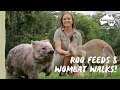 A day in the life of an Australia Zoo Keeper | Australia Zoo Life Mp3 Song