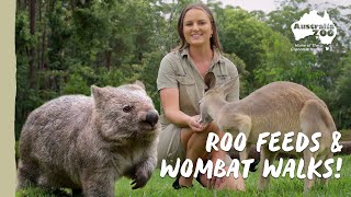 A day in the life of an Australia Zoo Keeper | Australia Zoo Life