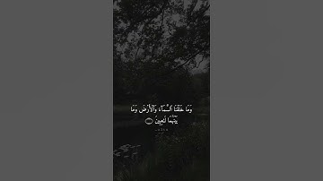 تلاوة هادئة تريح القلب🖤🍃| سورة الانبياء بصوت محمد جميل حالات واتساب دينية مقاطع انستقرام دينية