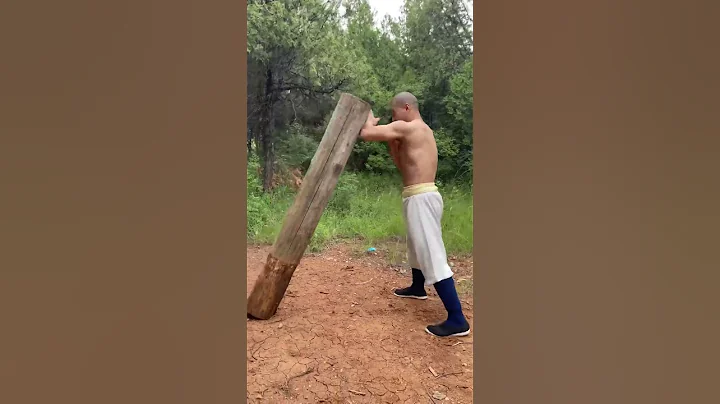 Hardest Elbow #yanhao #shaolinkungfuyanhao #shaolinkungfu #buddhism #shaolinmonks #wushu #kungfu - DayDayNews