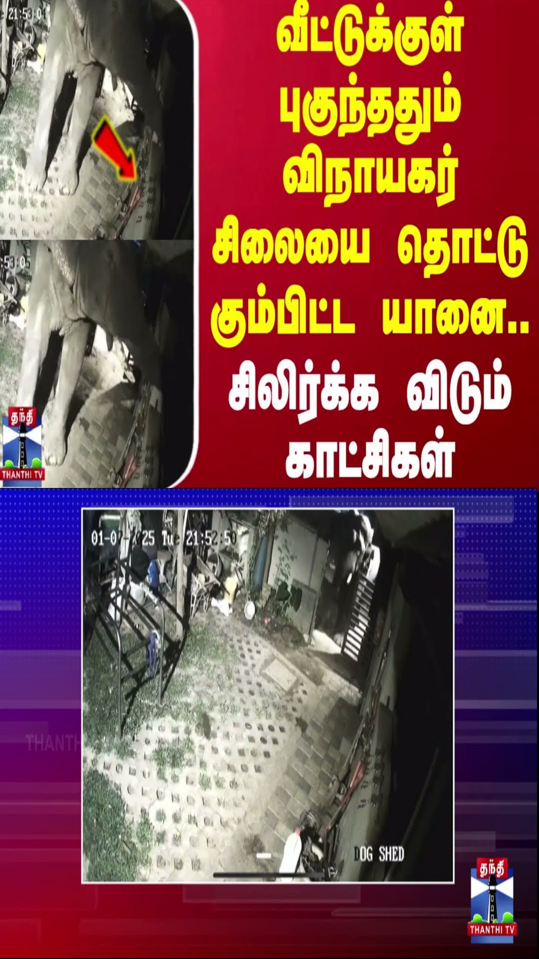 வீட்டுக்குள் புகுந்ததும் விநாயகர் சிலையை தொட்டு கும்பிட்ட யானை..சிலிர்க்க விடும் காட்சிகள்