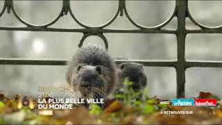 la plus belle ville du monde dimanche 21h m6 25 12 2016