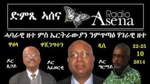 Voice of Assenna: Panel Discussion with Eritrean Forum for National Dialogue