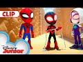 Sand trapped  marvels spidey and his amazing friends  disneyjunior