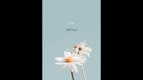 واصبر وما صبرك إلا بالله سورة النحل