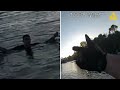 Why You Should Surrender Instead of Swim!