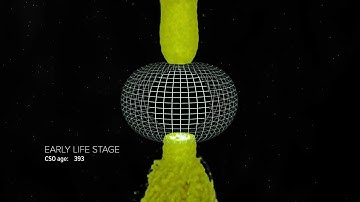 Animation Birth And Evolution Of A Compact Symmetric Object