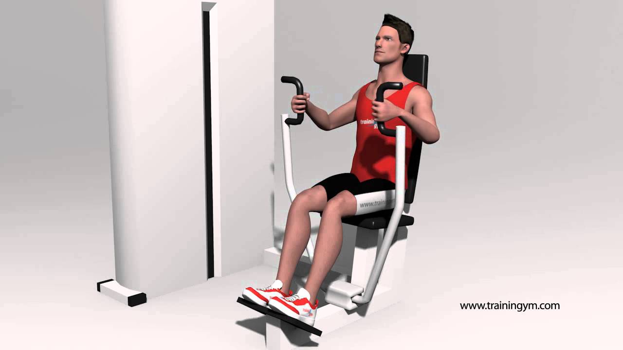 press vertical maquina pecho press vertical maquina pecho