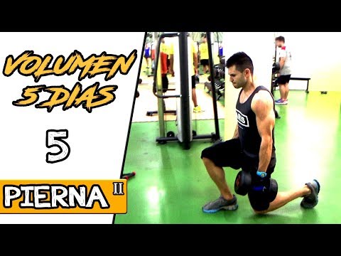 RUTINA GYM 5 DÍAS VOLUMEN | 5: PIERNAS (II) | Rutina semanal para aumentar masa muscular